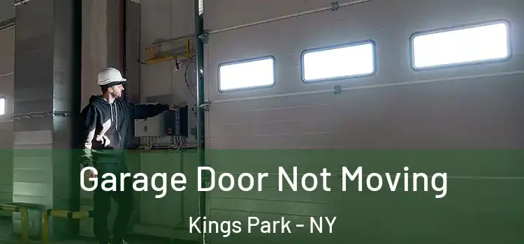  Garage Door Not Moving Kings Park - NY