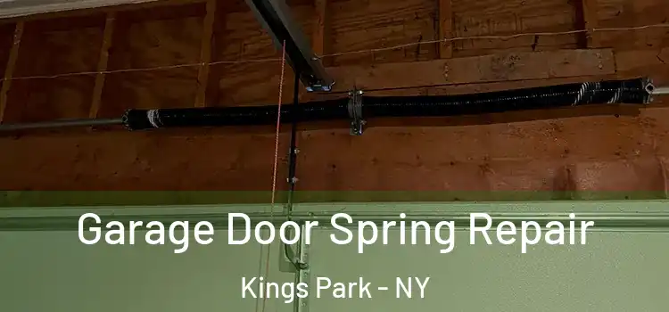  Garage Door Spring Repair Kings Park - NY