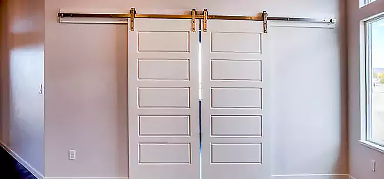 Glass Barn Door with Installation Hardware Kit Kings Park
