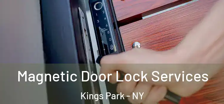  Magnetic Door Lock Services Kings Park - NY